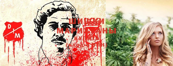стафф Абинск